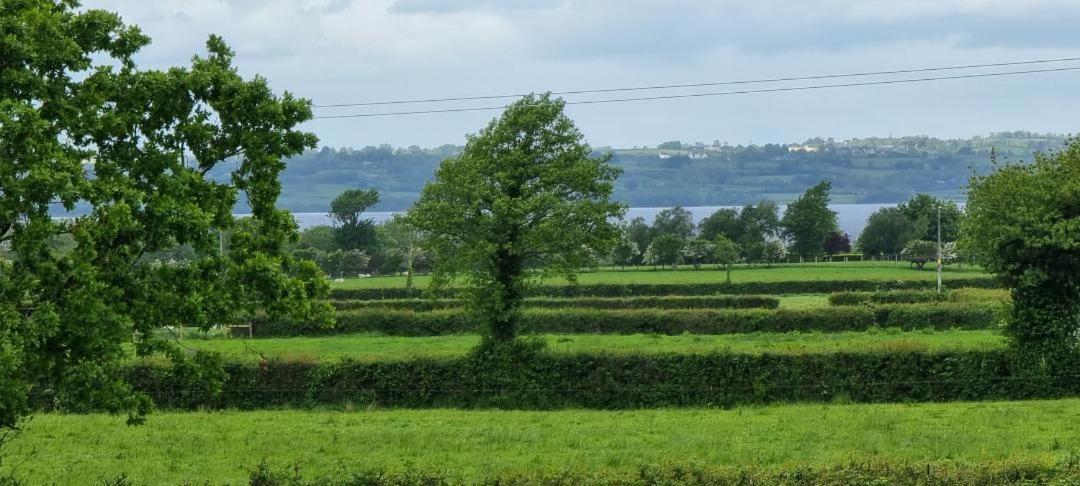Boutique Country House Aldergrove Crumlin  Ngoại thất bức ảnh